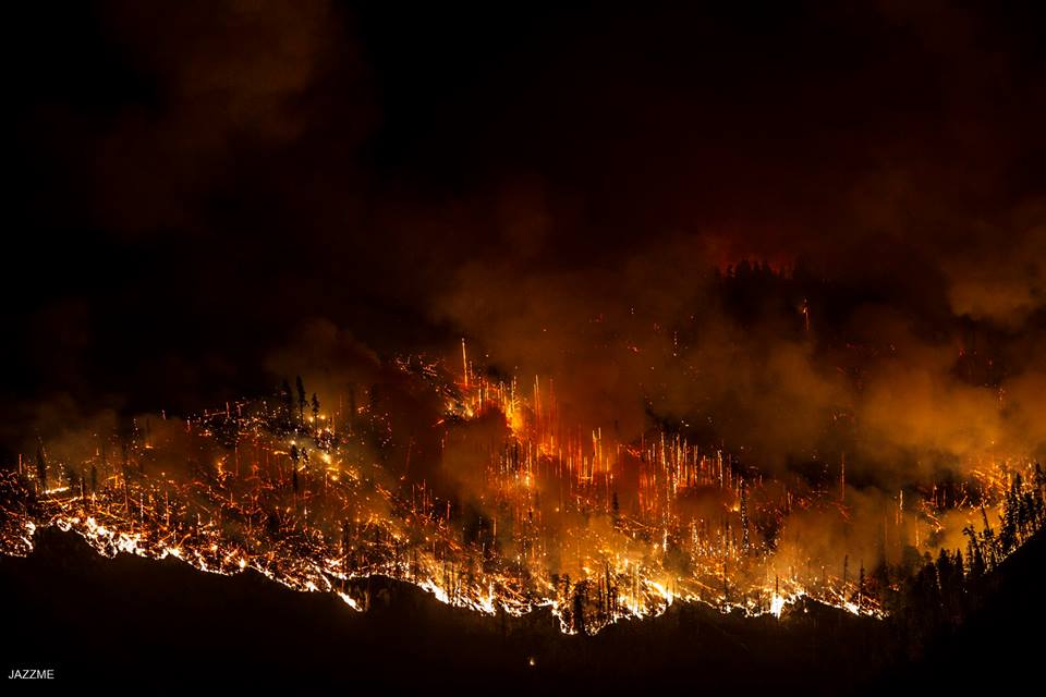 Difficult situation in Borjomi Gorge – The fire still raging geotv.ge